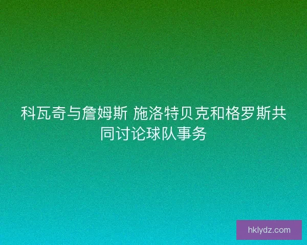 科瓦奇与詹姆斯 施洛特贝克和格罗斯共同讨论球队事务